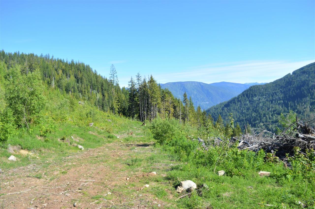 Lot 2 Highway 6, Nelson, British Columbia  V1L 5P3 - Photo 14 - 2478778