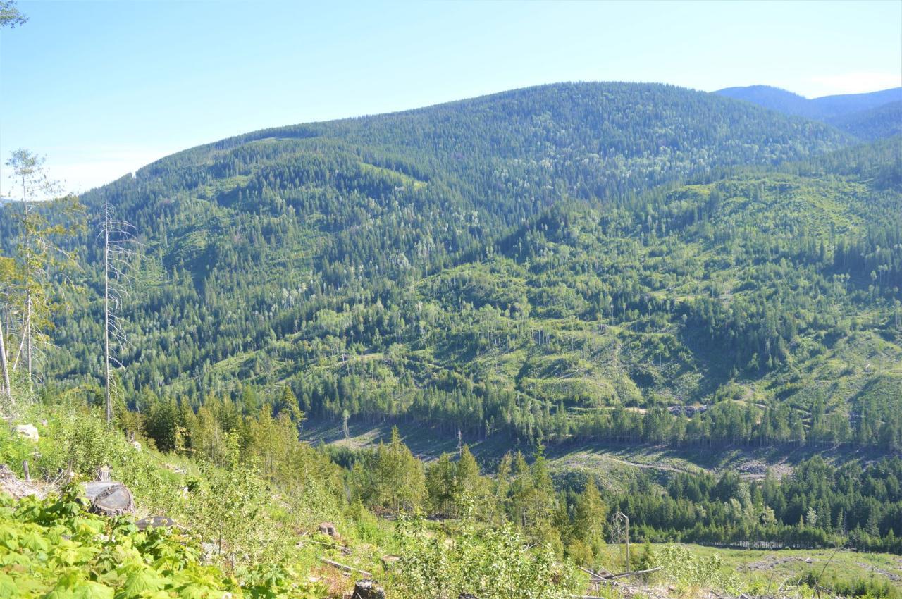 Lot 2 Highway 6, Nelson, British Columbia  V1L 5P3 - Photo 16 - 2478778