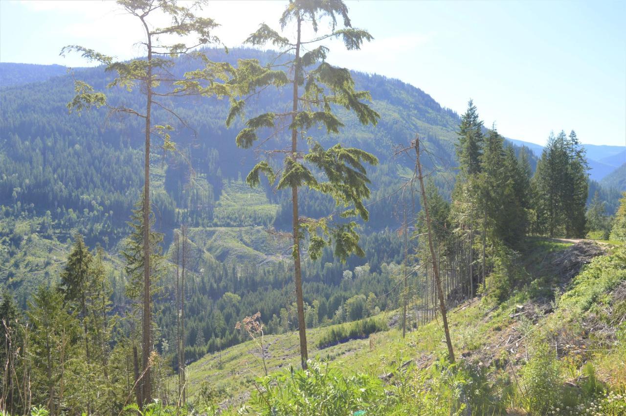 Lot 2 Highway 6, Nelson, British Columbia  V1L 5P3 - Photo 18 - 2478778