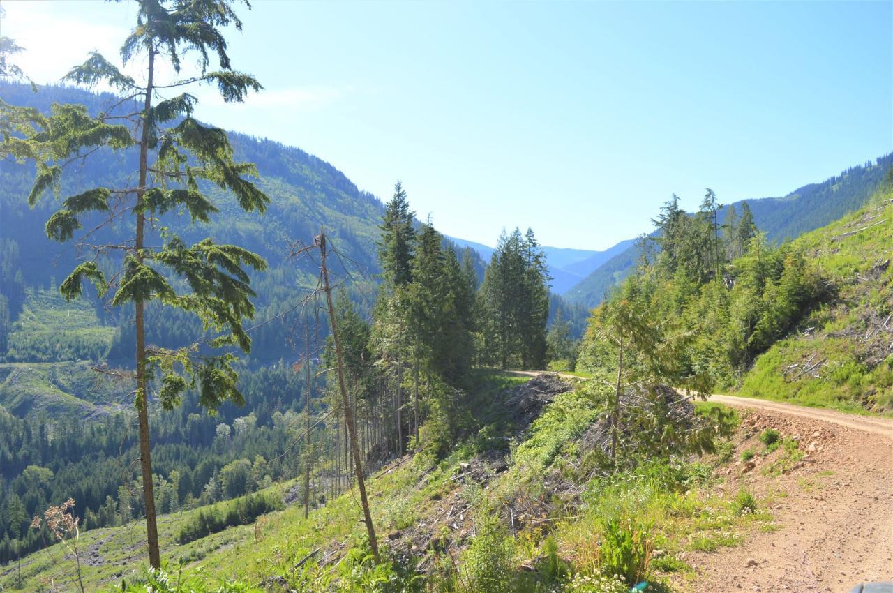 Lot 2 Highway 6, Nelson, British Columbia  V1L 5P3 - Photo 19 - 2478778