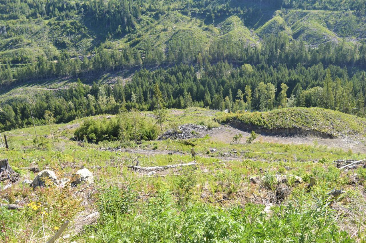Lot 2 Highway 6, Nelson, British Columbia  V1L 5P3 - Photo 20 - 2478778