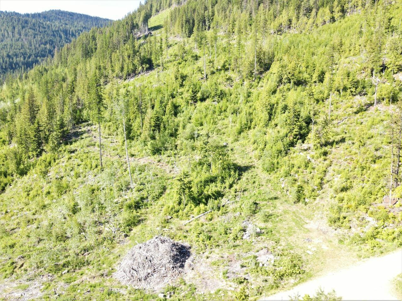 Lot 2 Highway 6, Nelson, British Columbia  V1L 5P3 - Photo 4 - 2478778