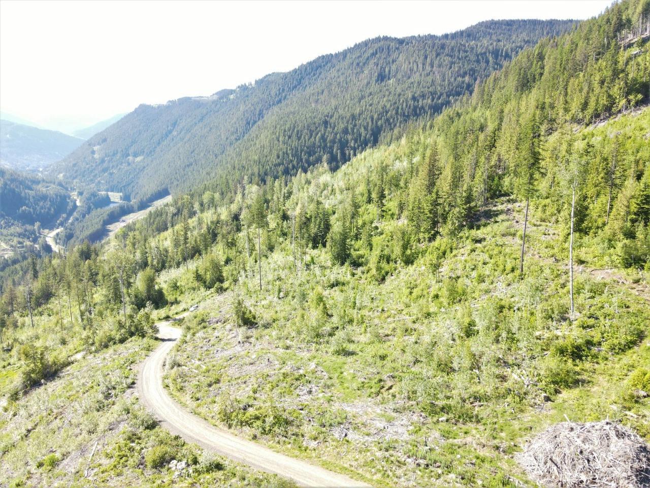 Lot 2 Highway 6, Nelson, British Columbia  V1L 5P3 - Photo 5 - 2478778