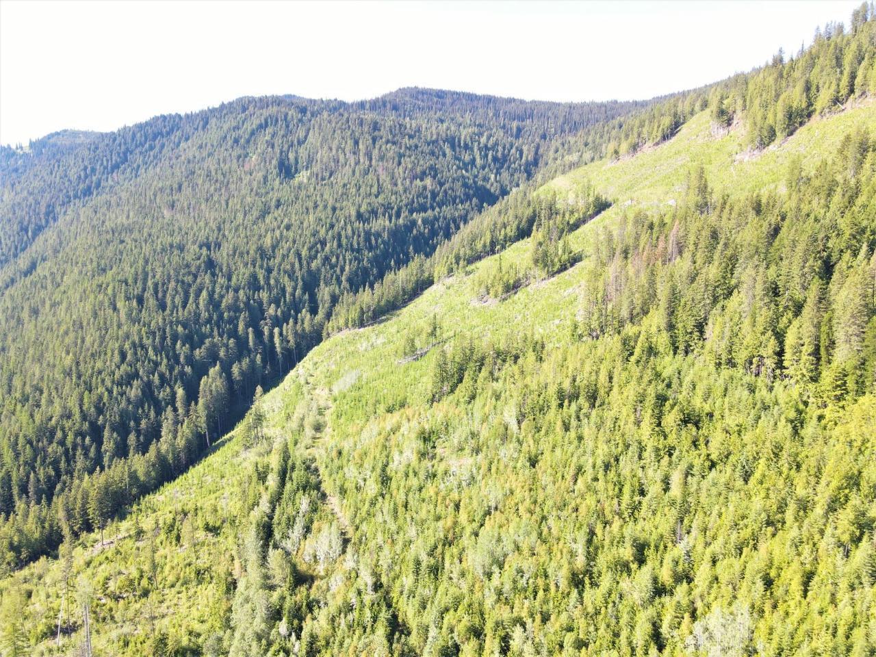 Lot 2 Highway 6, Nelson, British Columbia  V1L 5P3 - Photo 6 - 2478778
