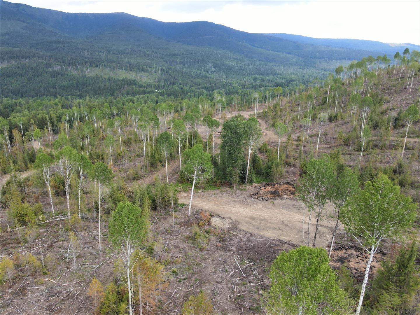 9468 Highway 3, Yahk, British Columbia  V0B 2P0 - Photo 1 - 2478777