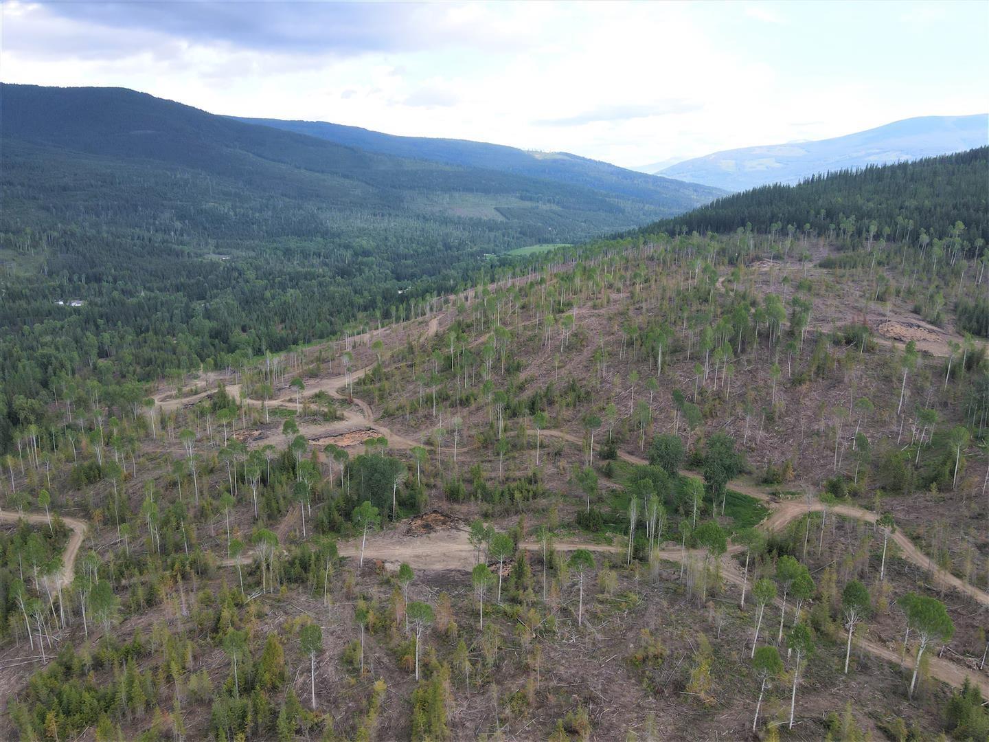 9468 Highway 3, Yahk, British Columbia  V0B 2P0 - Photo 10 - 2478777