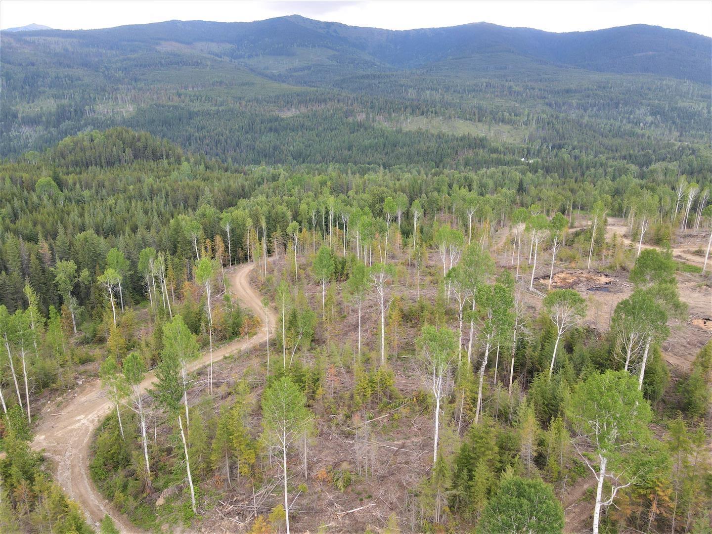 9468 Highway 3, Yahk, British Columbia  V0B 2P0 - Photo 11 - 2478777