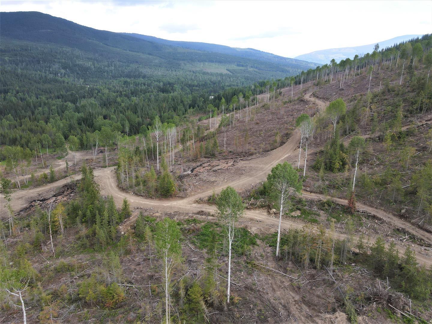 9468 Highway 3, Yahk, British Columbia  V0B 2P0 - Photo 12 - 2478777