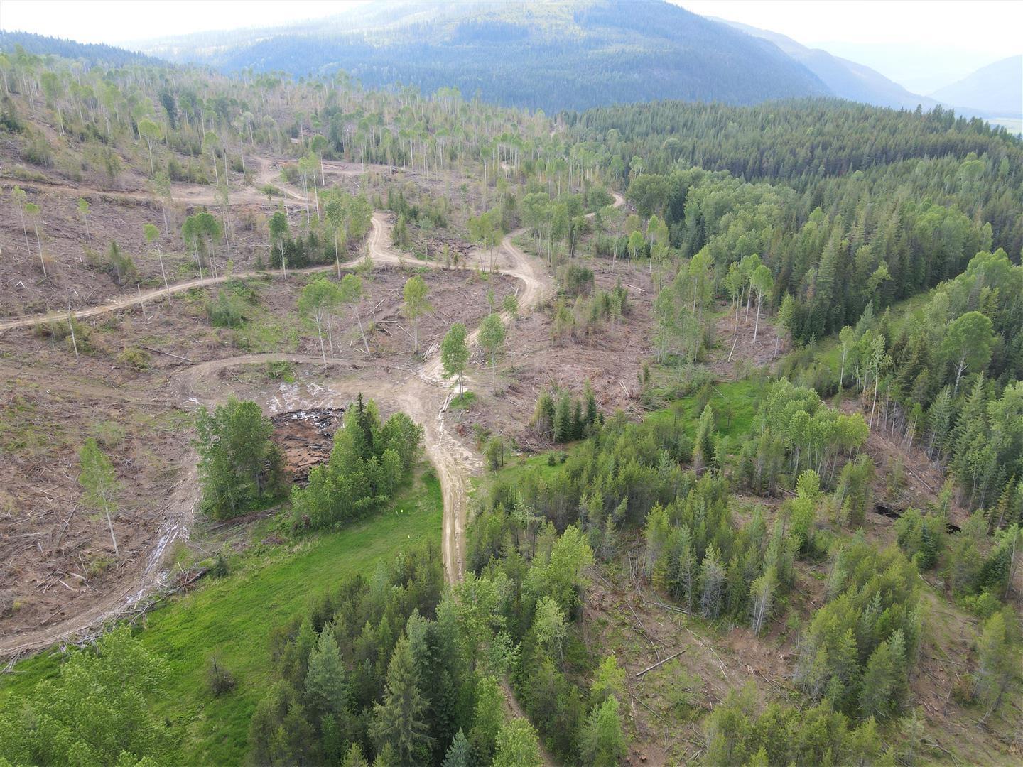 9468 Highway 3, Yahk, British Columbia  V0B 2P0 - Photo 2 - 2478777