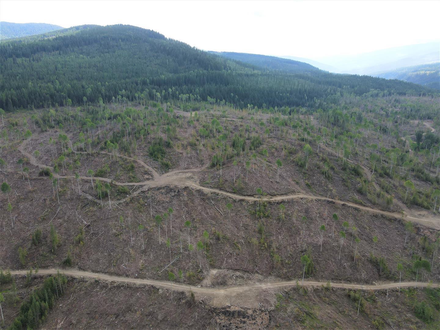 9468 Highway 3, Yahk, British Columbia  V0B 2P0 - Photo 4 - 2478777