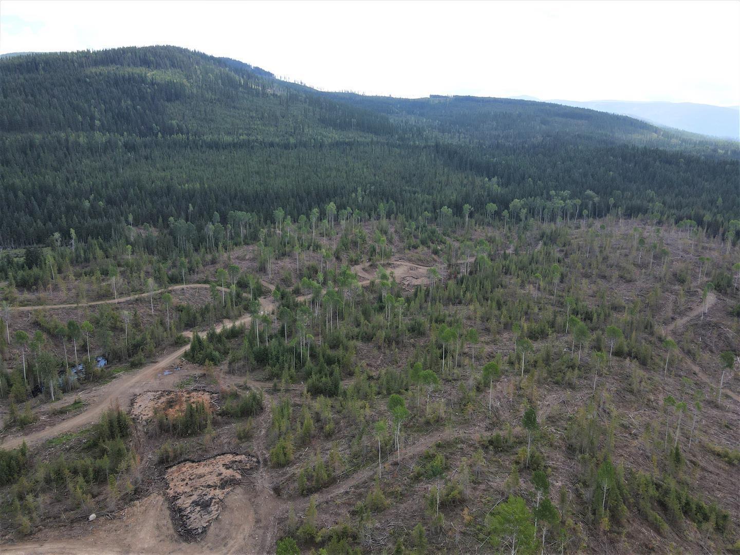 9468 Highway 3, Yahk, British Columbia  V0B 2P0 - Photo 8 - 2478777