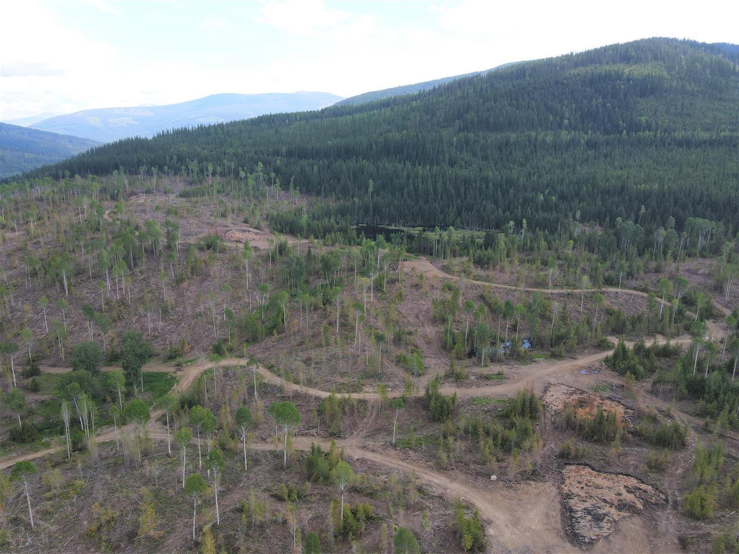 9468 Highway 3, Yahk, British Columbia  V0B 2P0 - Photo 9 - 2478777