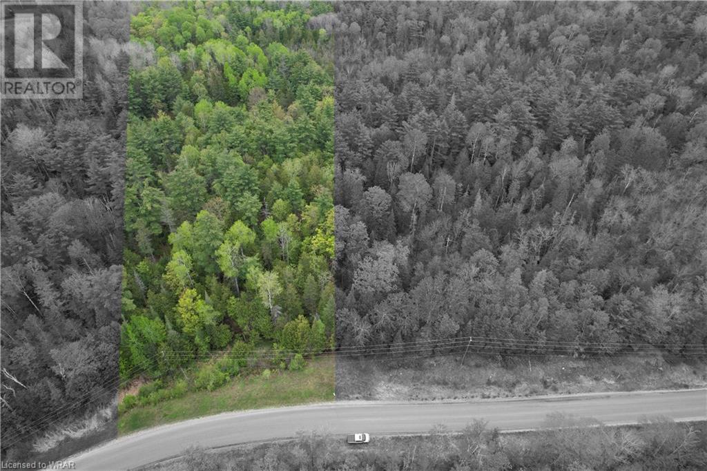 1426 French Line Road, Lanark, Ontario  K0G 1K0 - Photo 2 - 40626962