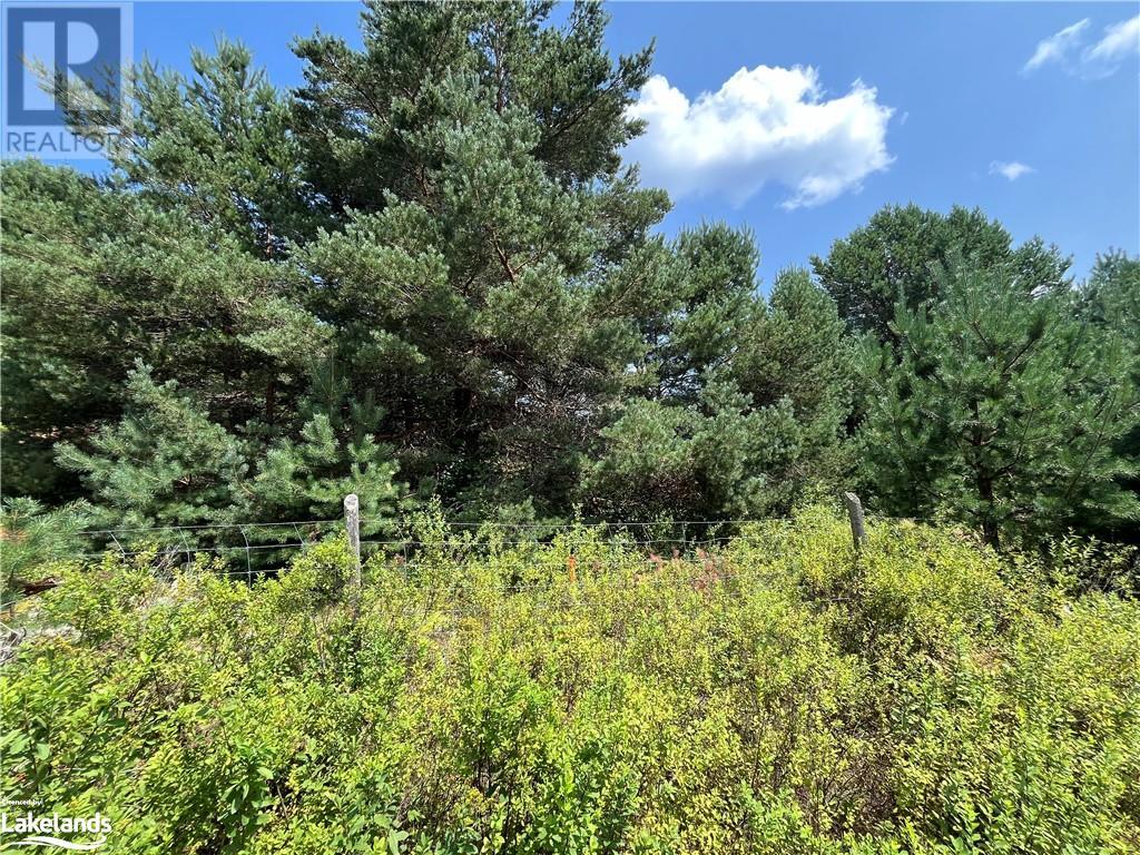 0 Gelert Road, Haliburton, Ontario  K0M 1S0 - Photo 10 - 40627487