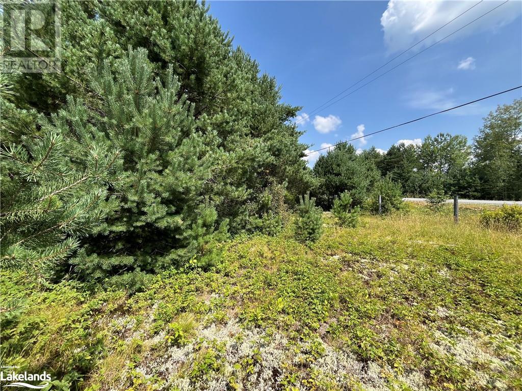 0 Gelert Road, Haliburton, Ontario  K0M 1S0 - Photo 12 - 40627487