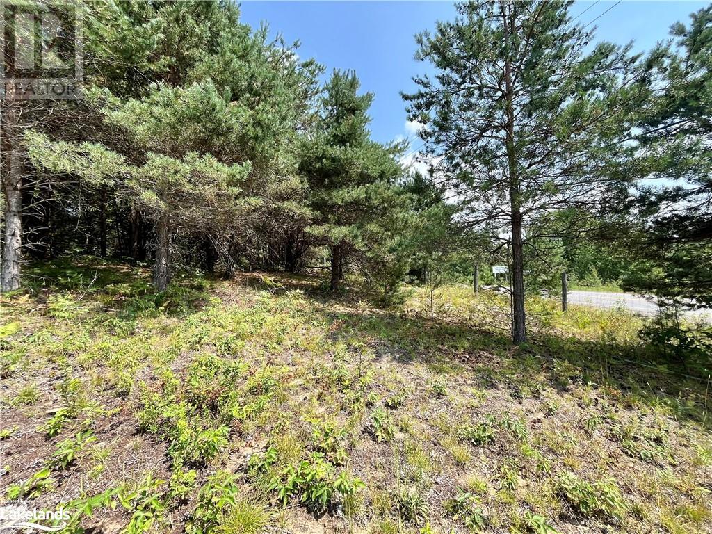 0 Gelert Road, Haliburton, Ontario  K0M 1S0 - Photo 6 - 40627487