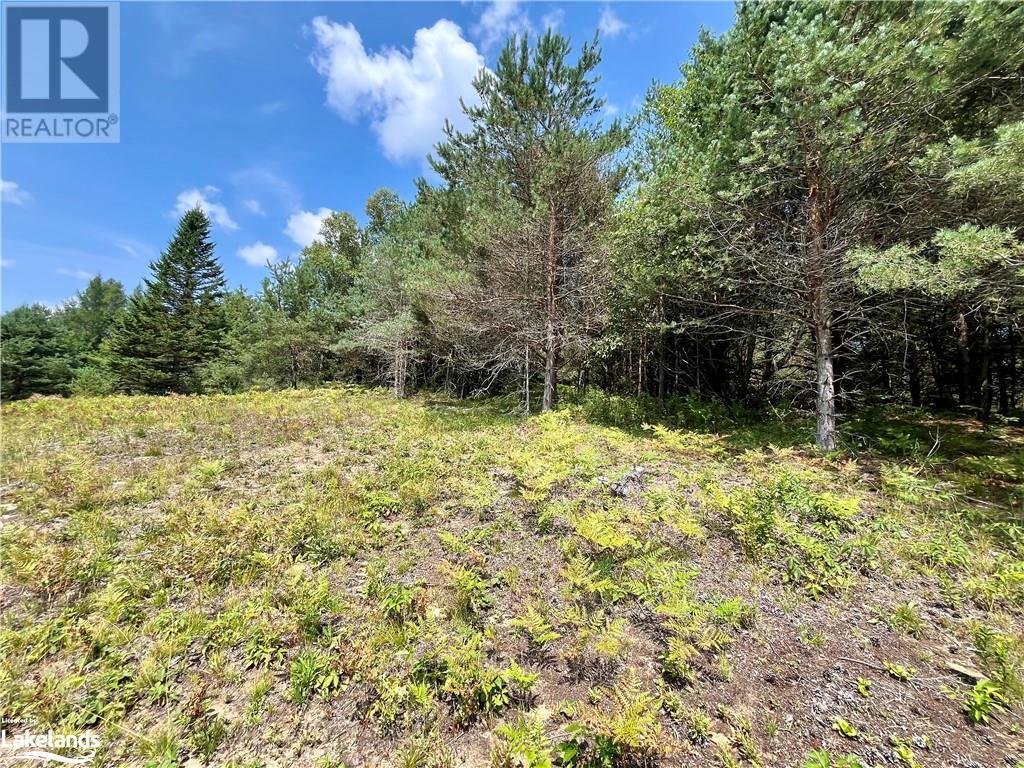 0 Gelert Road, Haliburton, Ontario  K0M 1S0 - Photo 7 - 40627487