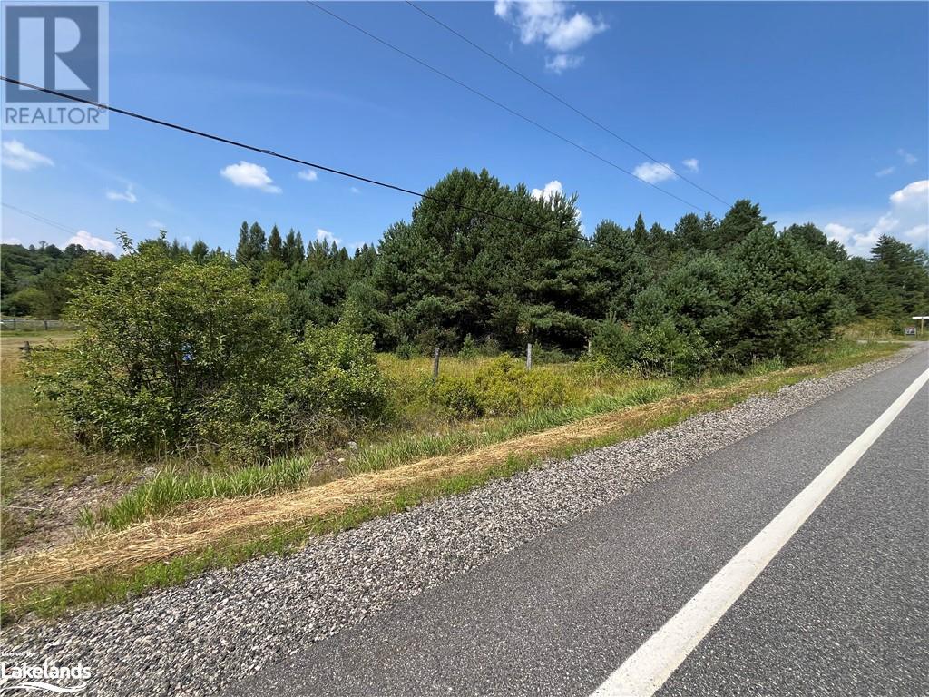0 Gelert Road, Haliburton, Ontario  K0M 1S0 - Photo 8 - 40627487