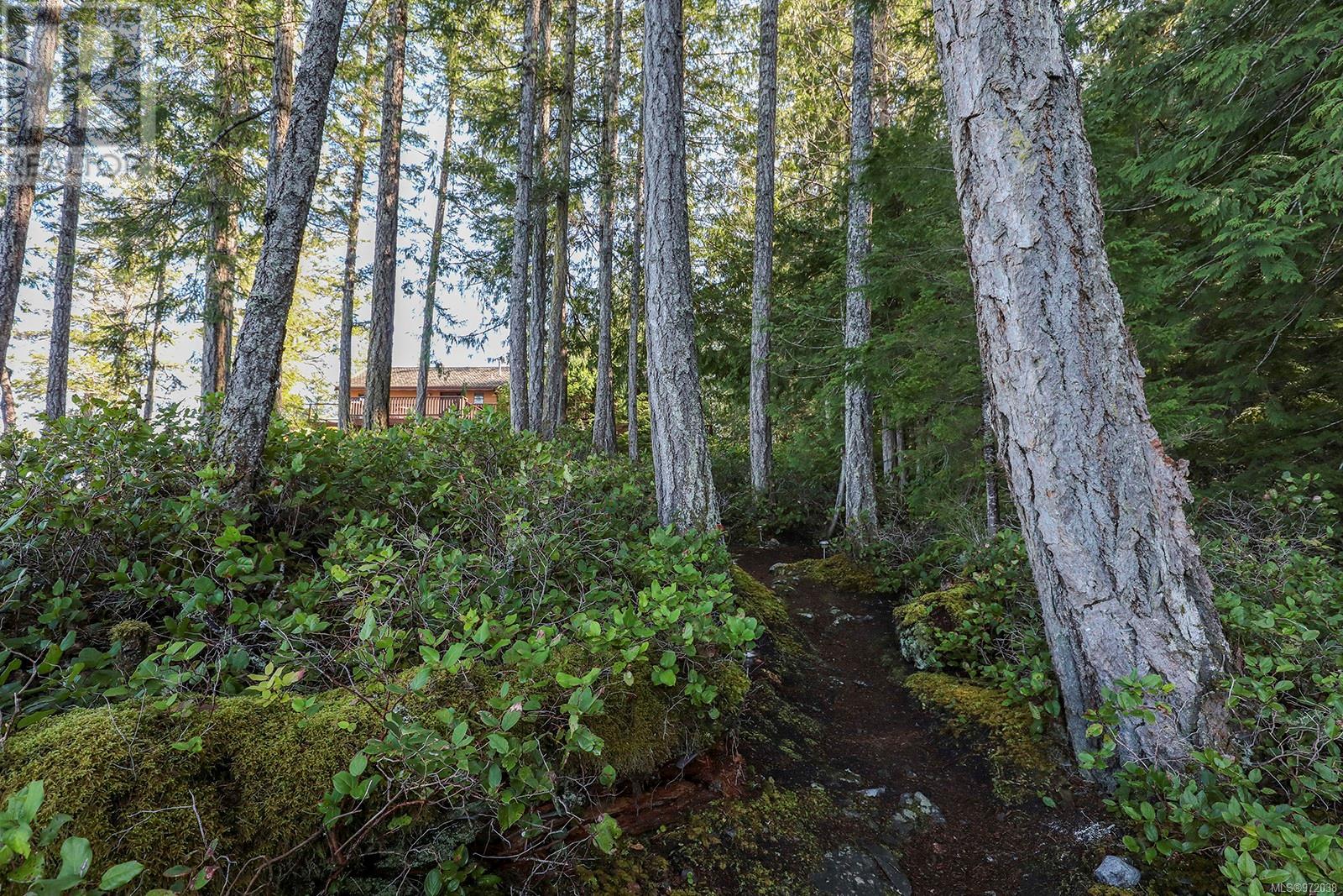 651 Gorge Harbour, Cortes Island, British Columbia  V0P 1Z0 - Photo 38 - 972038