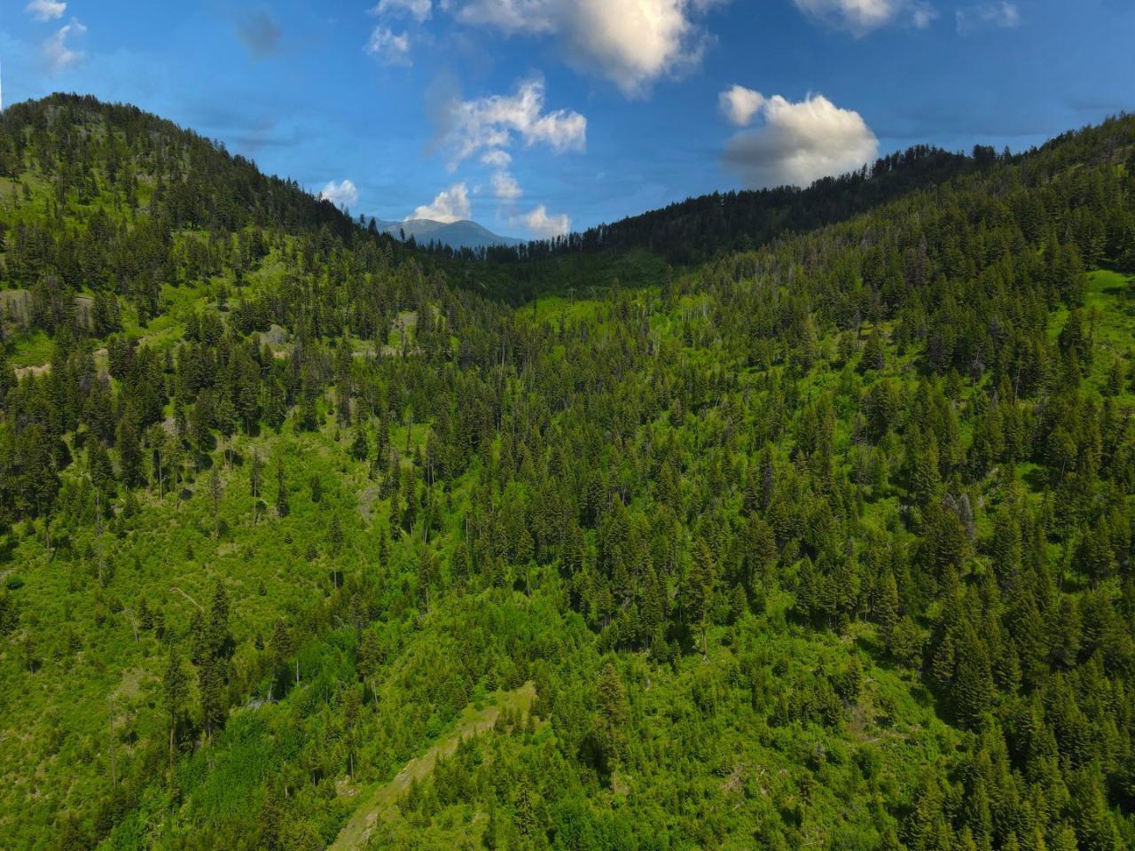 1740 Jolly Jack Road, Greenwood, British Columbia  V0H 1J0 - Photo 14 - 2478783