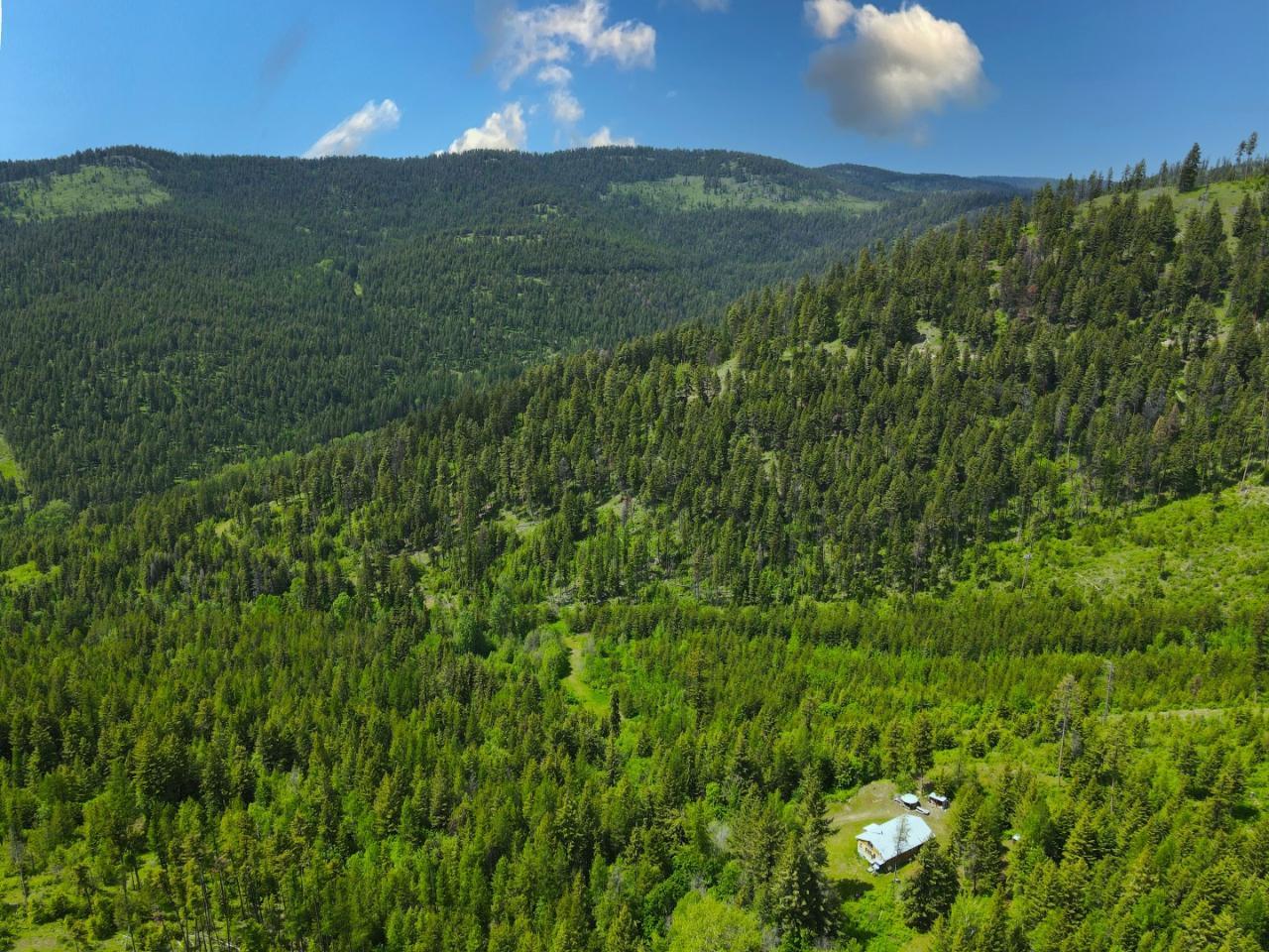 1740 Jolly Jack Road, Greenwood, British Columbia  V0H 1J0 - Photo 19 - 2478783