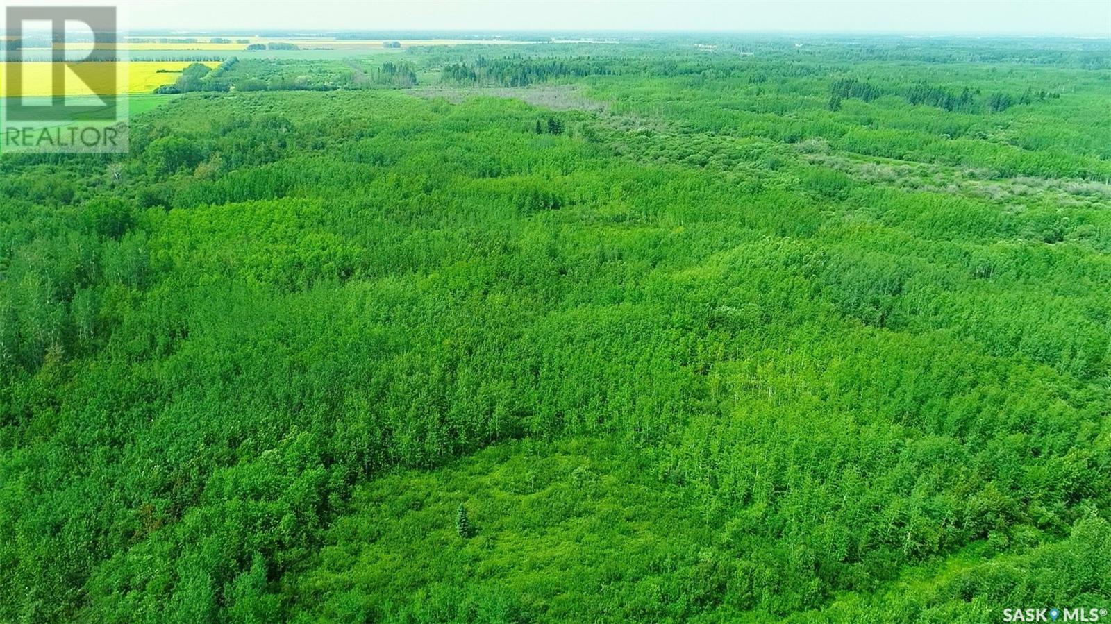 Recreational Land N-E Of White Fox, Torch River Rm No. 488, Saskatchewan  S0J 3B0 - Photo 27 - SK977729