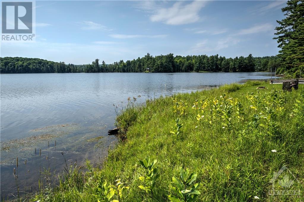 404 Horne Lake Road, Lanark Highlands, Ontario  K0G 1K0 - Photo 14 - 1403778