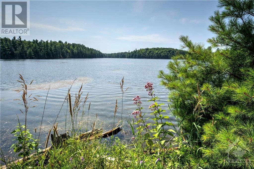404 Horne Lake Road, Lanark Highlands, Ontario  K0G 1K0 - Photo 4 - 1403778