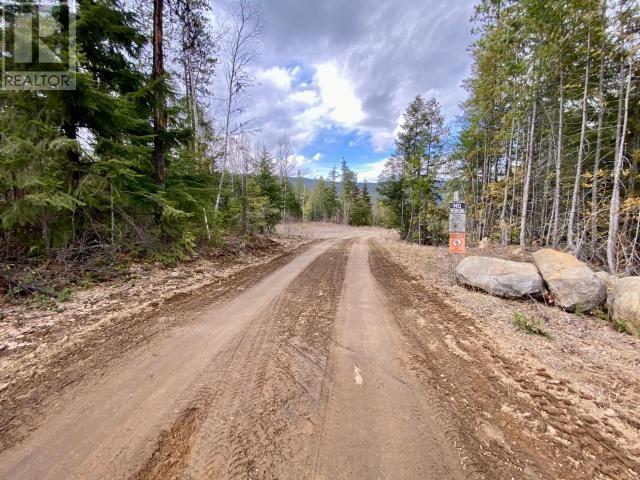 1077 Clearwater Valley Rd, Clearwater, British Columbia  V0E 1N1 - Photo 30 - 180158