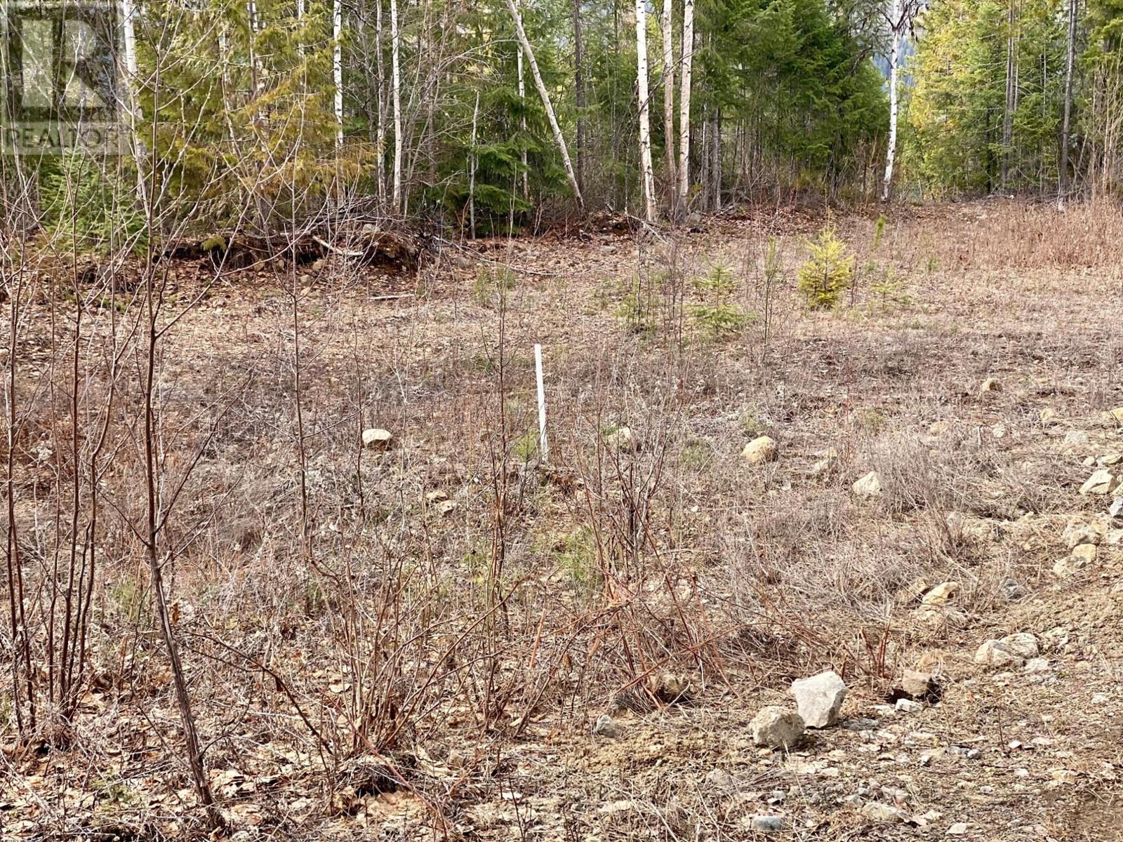 1077 Clearwater Valley Rd, Clearwater, British Columbia  V0E 1N1 - Photo 36 - 180158