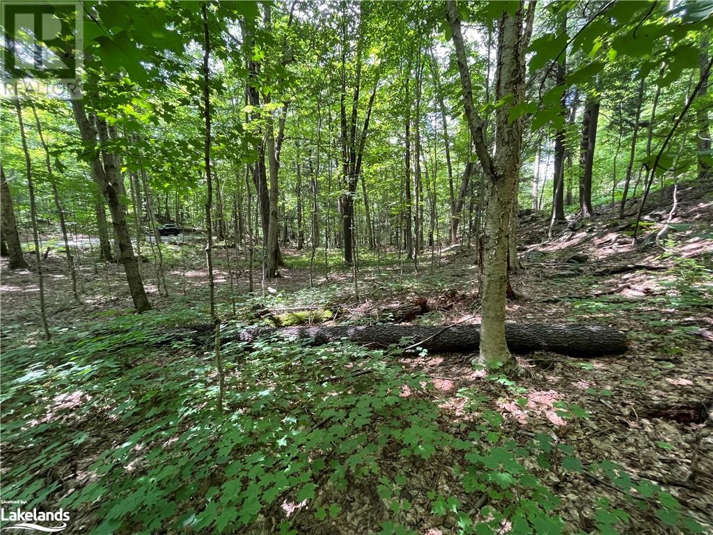 Lot 134 Brennan Circle, Huntsville, Ontario  P1H 2J2 - Photo 10 - 40628129