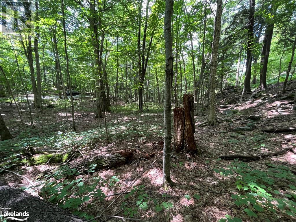 Lot 134 Brennan Circle, Huntsville, Ontario  P1H 2J2 - Photo 11 - 40628129