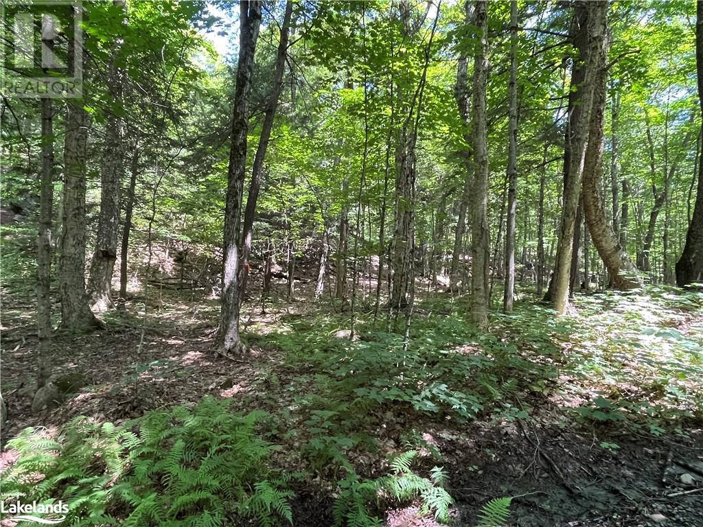 Lot 134 Brennan Circle, Huntsville, Ontario  P1H 2J2 - Photo 4 - 40628129