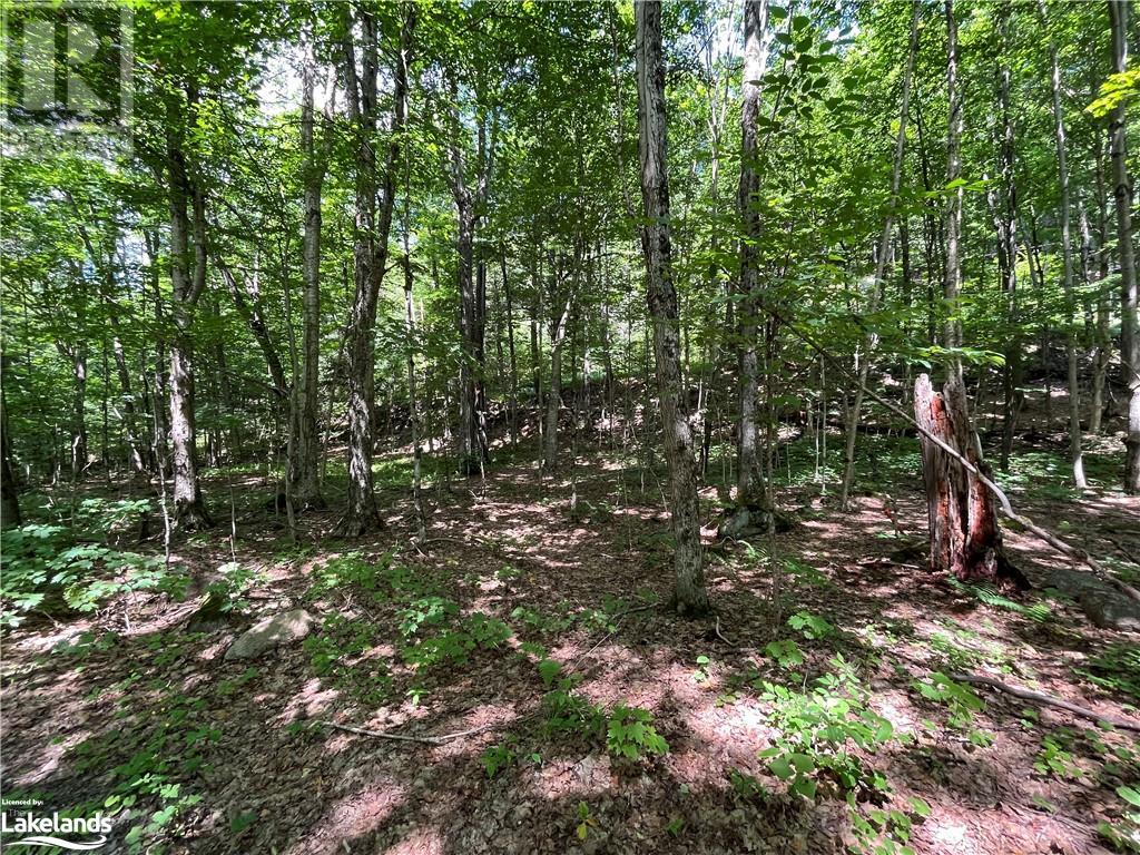Lot 134 Brennan Circle, Huntsville, Ontario  P1H 2J2 - Photo 5 - 40628129
