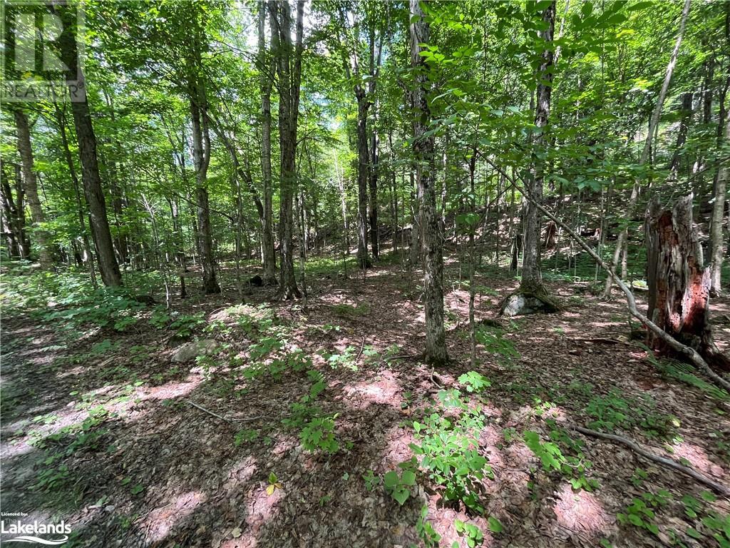 Lot 134 Brennan Circle, Huntsville, Ontario  P1H 2J2 - Photo 7 - 40628129