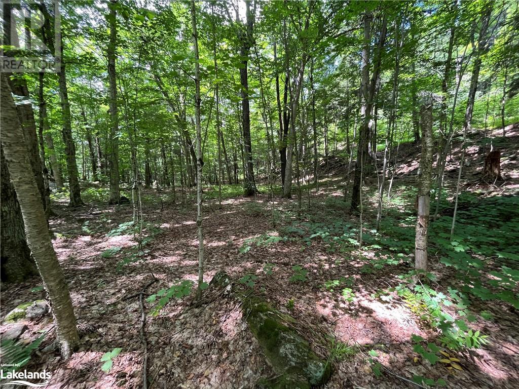 Lot 134 Brennan Circle, Huntsville, Ontario  P1H 2J2 - Photo 8 - 40628129