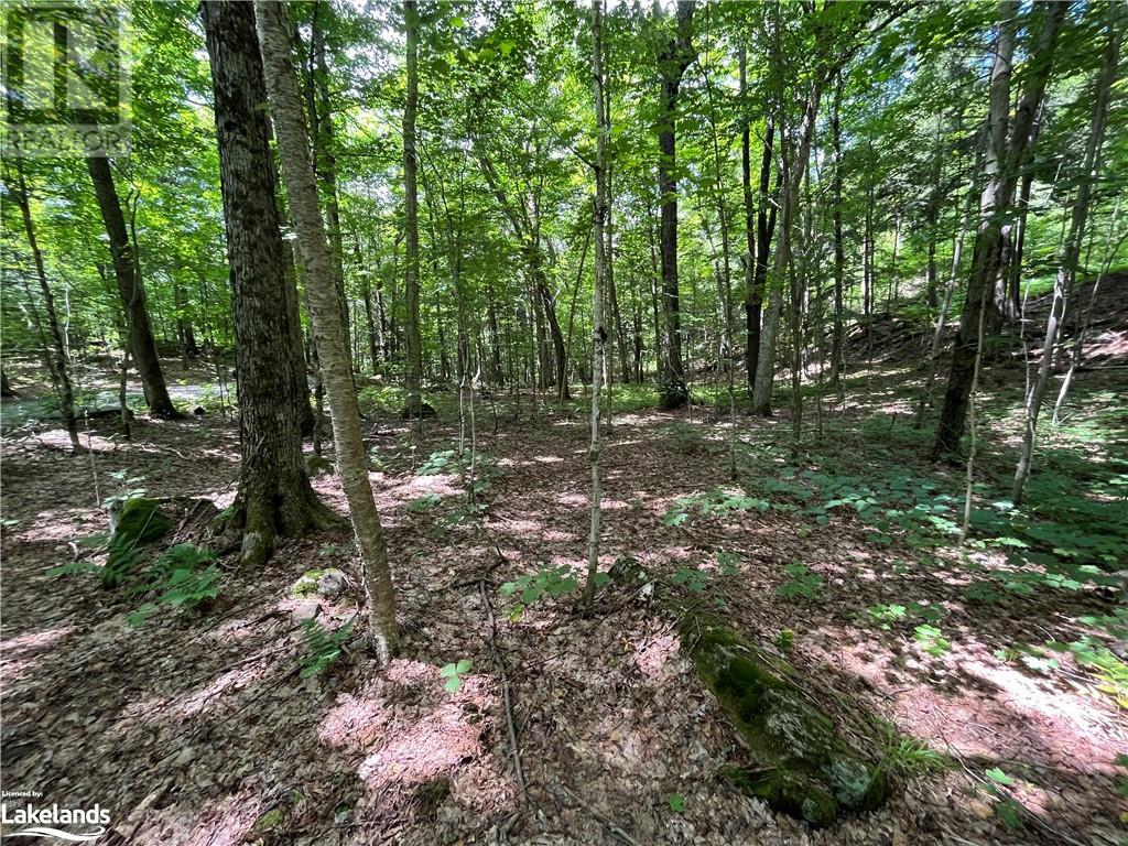 Lot 134 Brennan Circle, Huntsville, Ontario  P1H 2J2 - Photo 9 - 40628129