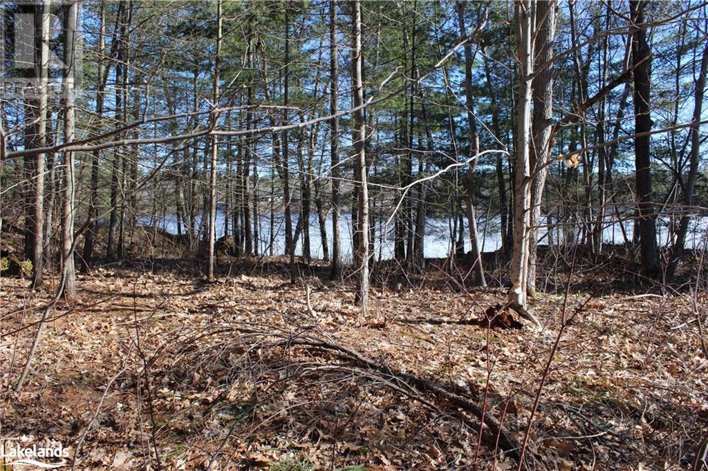 Part Lots H & I Severn River Island, Gravenhurst, Ontario  P0E 1G0 - Photo 17 - 40628775