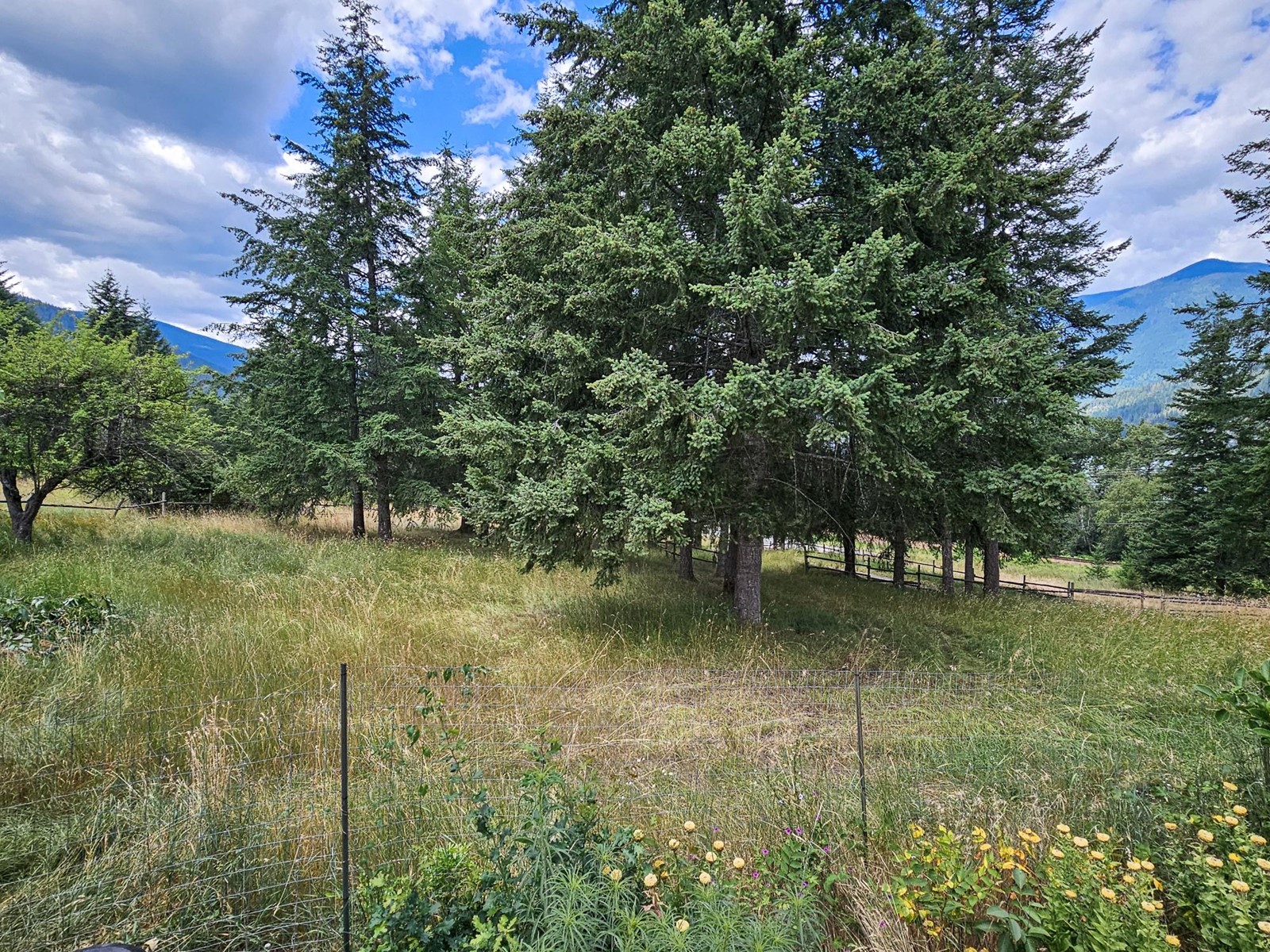 6810 Harrop-Procter Road, Harrop, British Columbia  V1L 6R2 - Photo 54 - 2478807