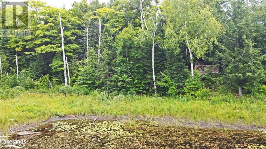 1 Cornflower Road, Mcdougall, Ontario  P2A 2W7 - Photo 14 - 40627317