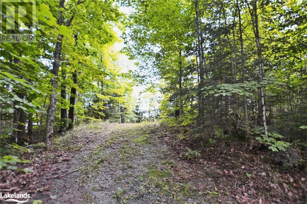 1 Cornflower Road, Mcdougall, Ontario  P2A 2W7 - Photo 16 - 40627317