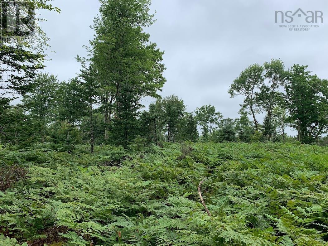 Lot 5 Pleasant River Preserve, Pleasant River, Nova Scotia  B0T 1X0 - Photo 2 - 202418576