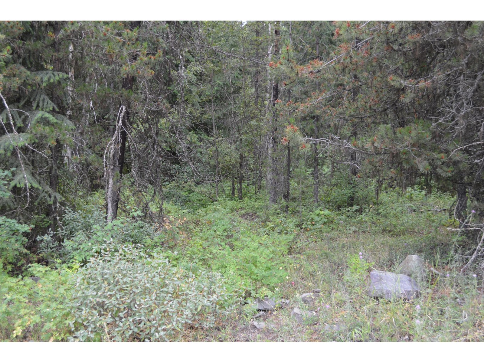 Lot 3 Highway 3, Grand Forks, British Columbia  V0H 1H5 - Photo 11 - 2478808