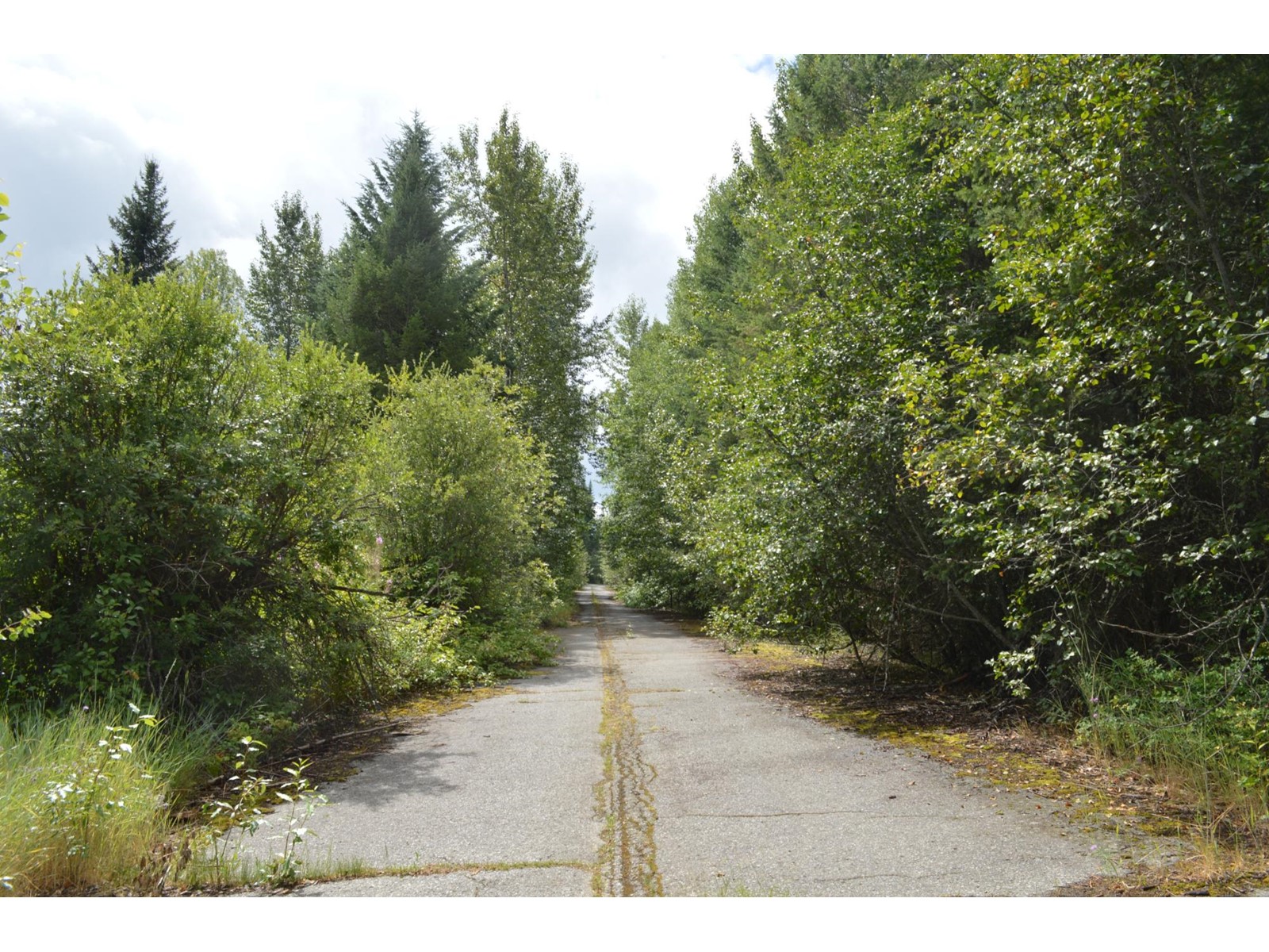 Lot 3 Highway 3, Grand Forks, British Columbia  V0H 1H5 - Photo 13 - 2478808