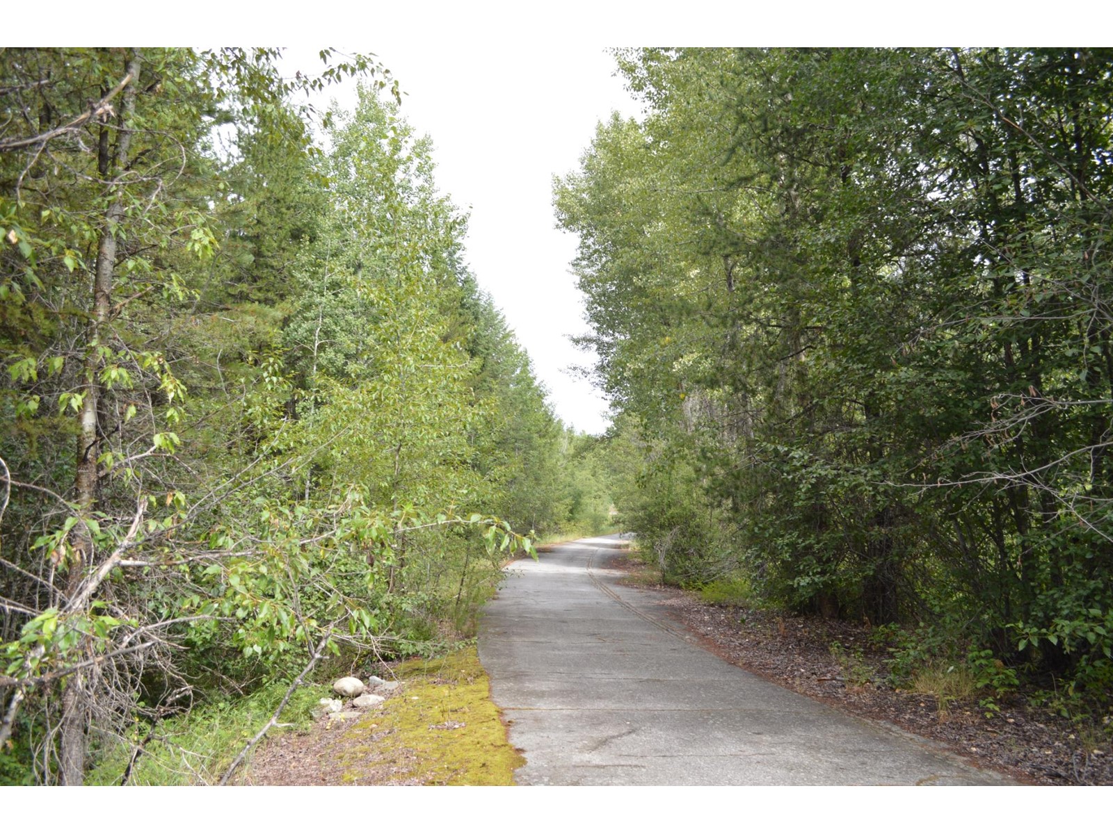 Lot 3 Highway 3, Grand Forks, British Columbia  V0H 1H5 - Photo 4 - 2478808