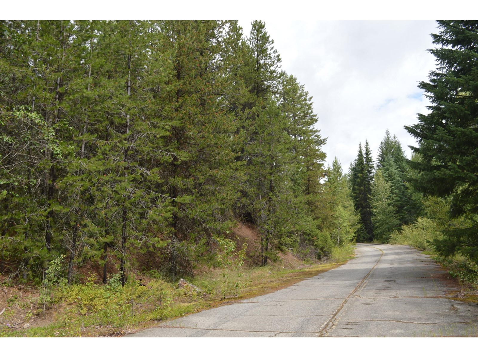 Lot 3 Highway 3, Grand Forks, British Columbia  V0H 1H5 - Photo 5 - 2478808
