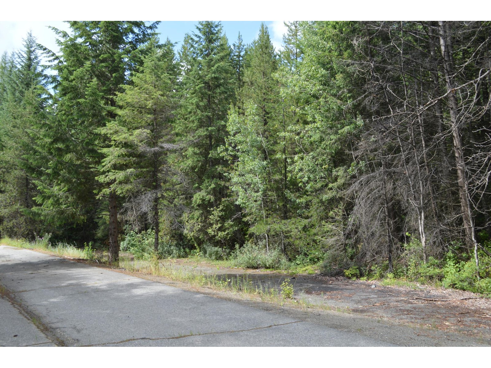 Lot 3 Highway 3, Grand Forks, British Columbia  V0H 1H5 - Photo 6 - 2478808