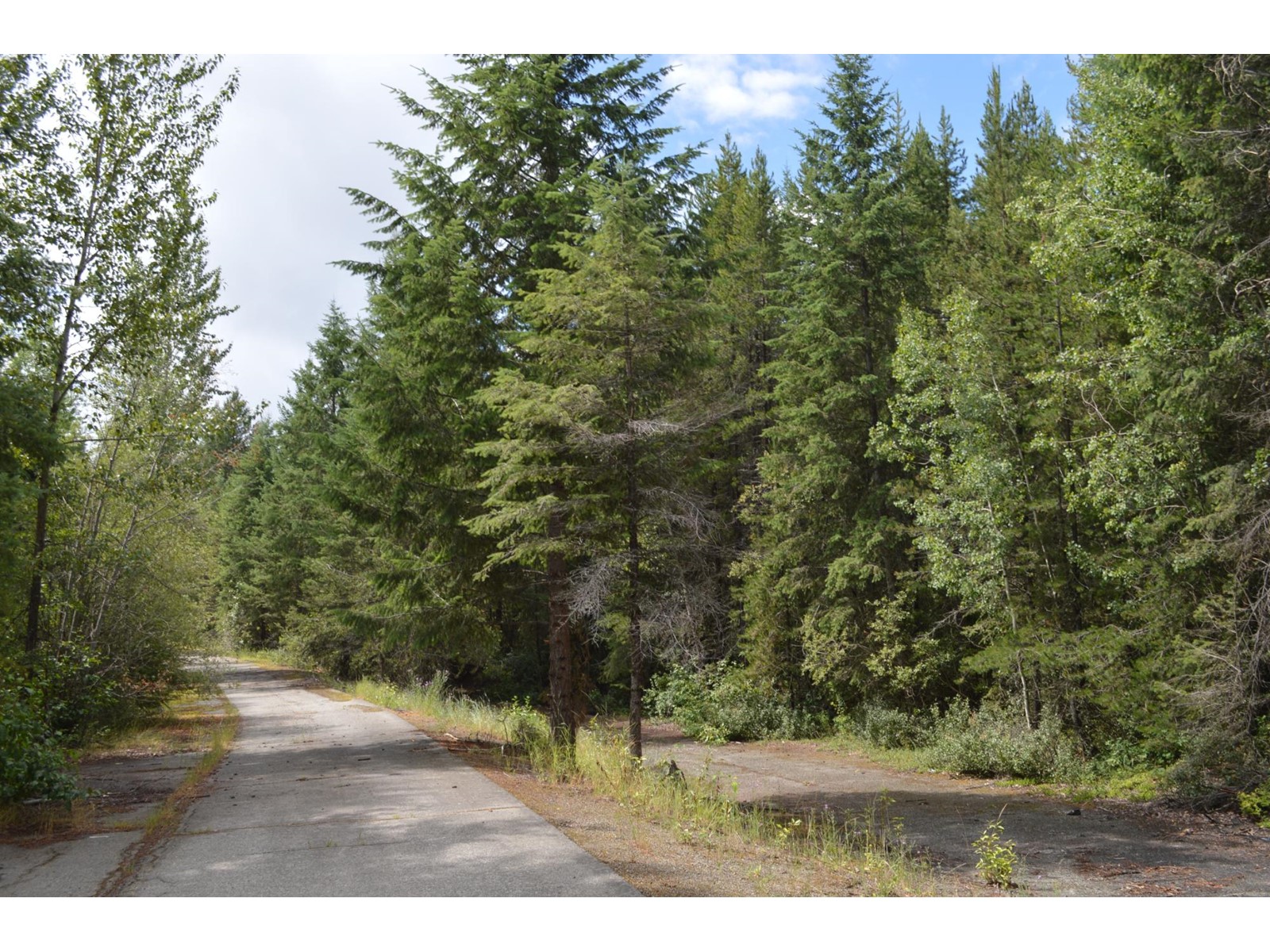 Lot 3 Highway 3, Grand Forks, British Columbia  V0H 1H5 - Photo 7 - 2478808