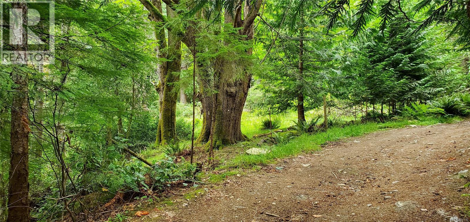 226 Bold Point Rd, Quadra Island, British Columbia V0P 1H0 - Photo 61 - 971110