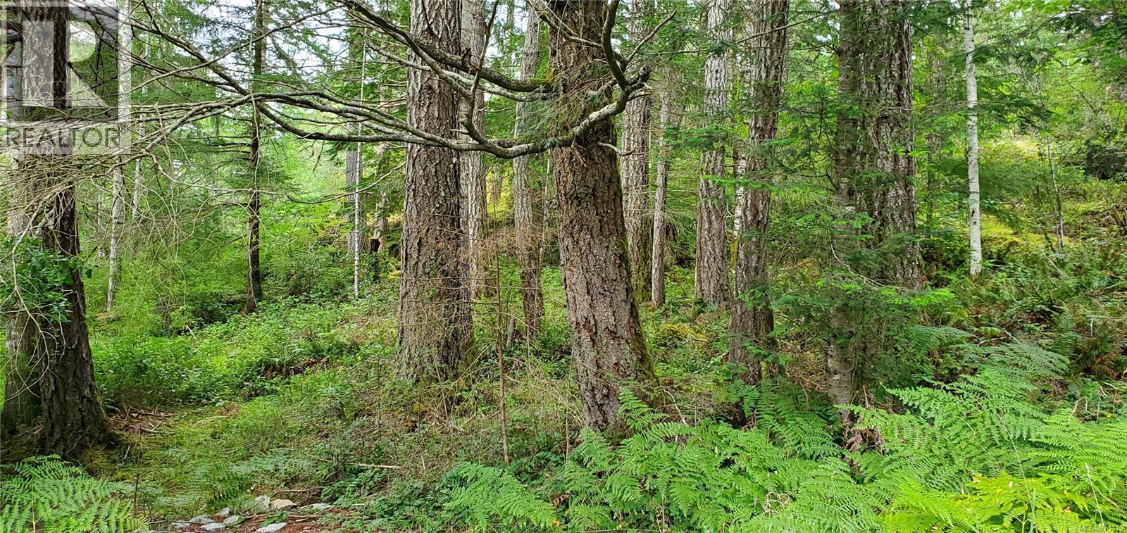 226 Bold Point Rd, Quadra Island, British Columbia V0P 1H0 - Photo 64 - 971110